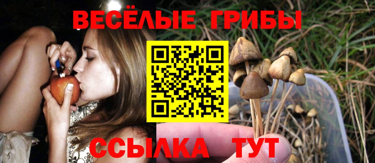 Галлюциногенные грибы Cubensis  Вход с VPN  Галлюциногенные грибы Psilocybe  Сочи 