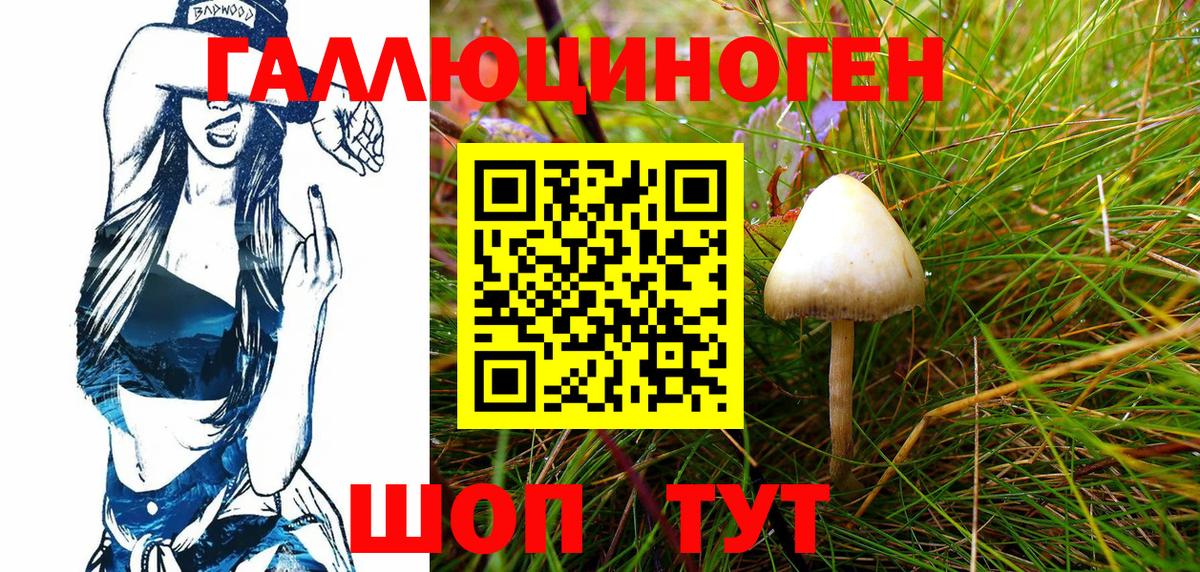 Галлюциногенные грибы GOLDEN TEACHER Сочи